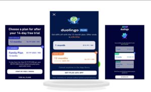 Super Duolingo Monthly Cost