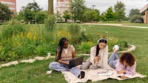 How Is College Different from School and University
