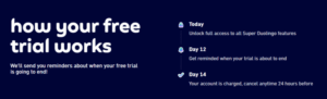 How to Get Super Duolingo for Free