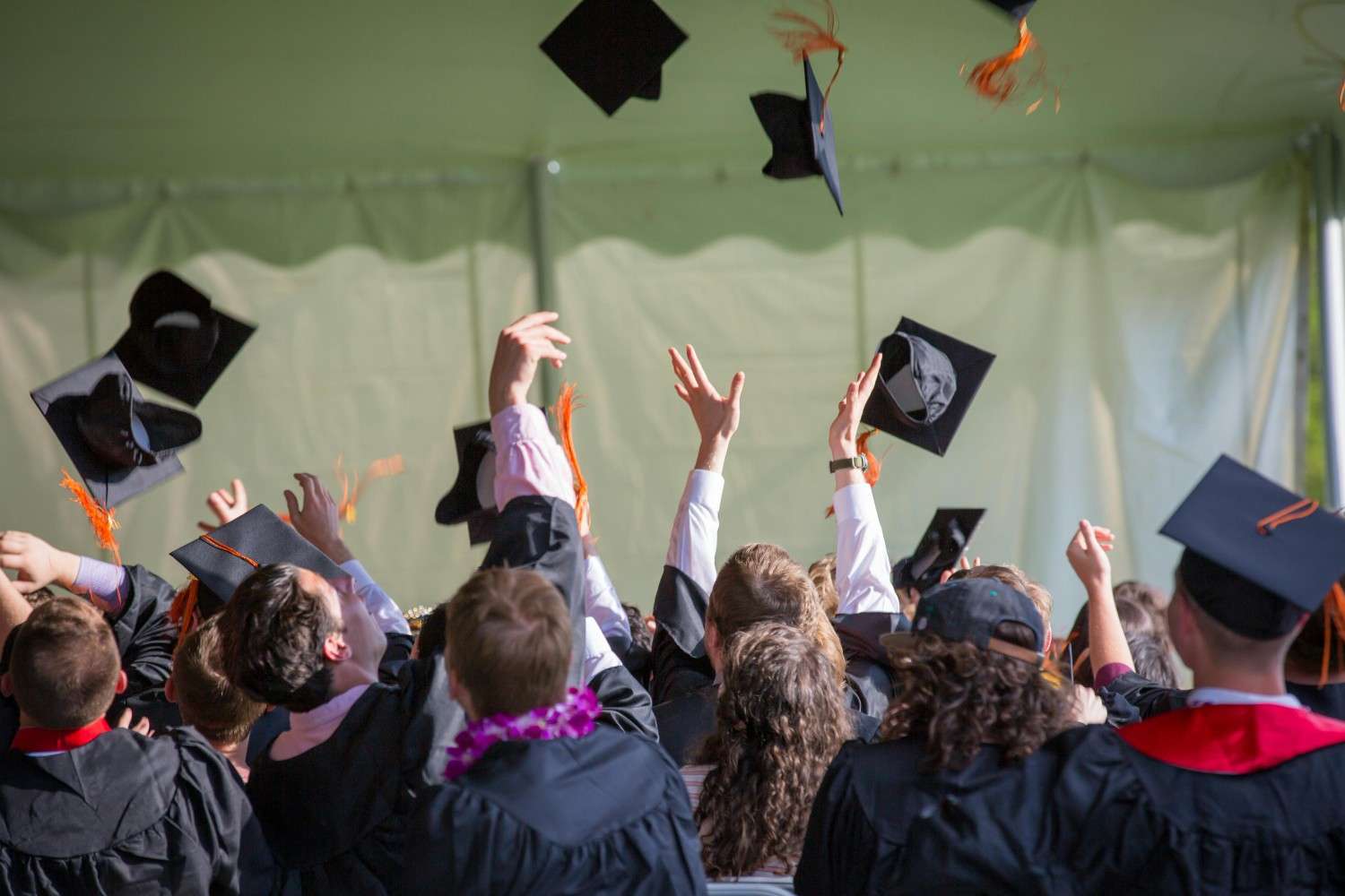 Most hardest degrees to get