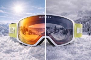 Adaptability to Changing Light Conditions