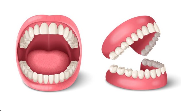 The Importance of Dental Care for All Ages