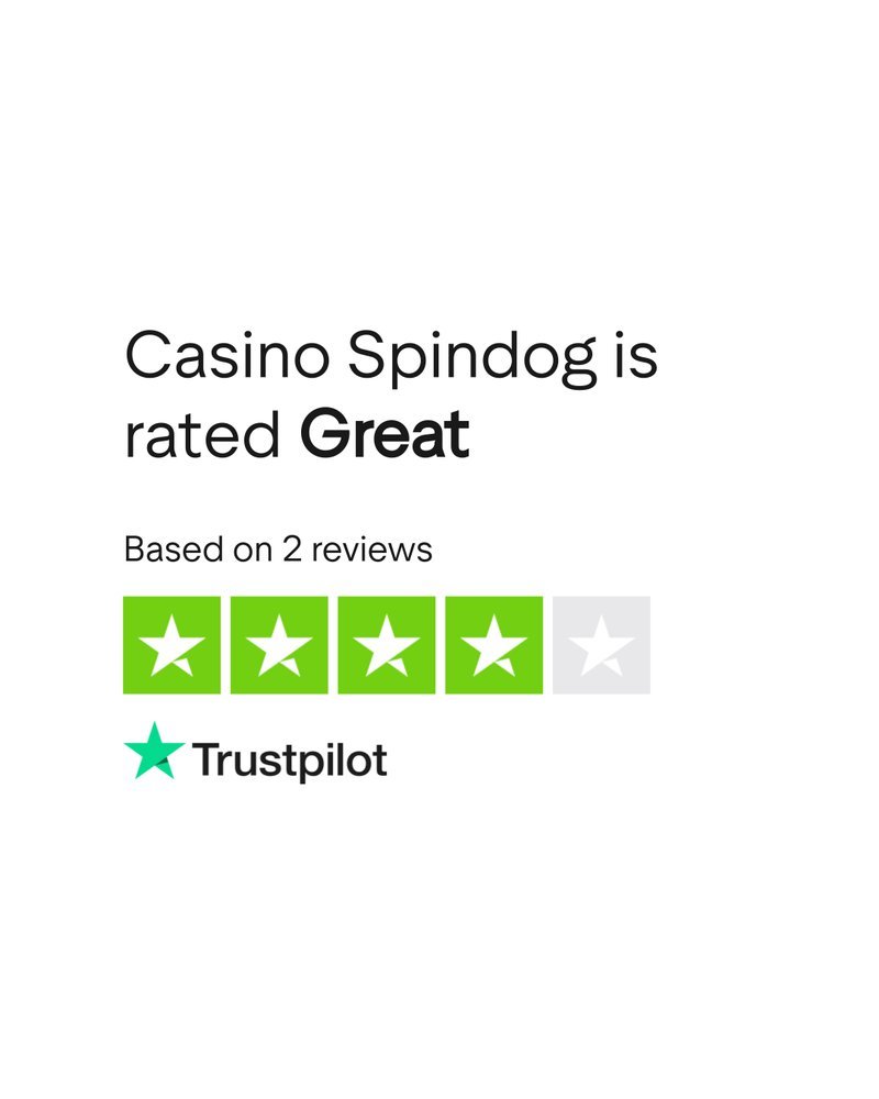 Overview of spindog uk